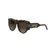 Sunglasses Dior DiorSignature R2I 20F1