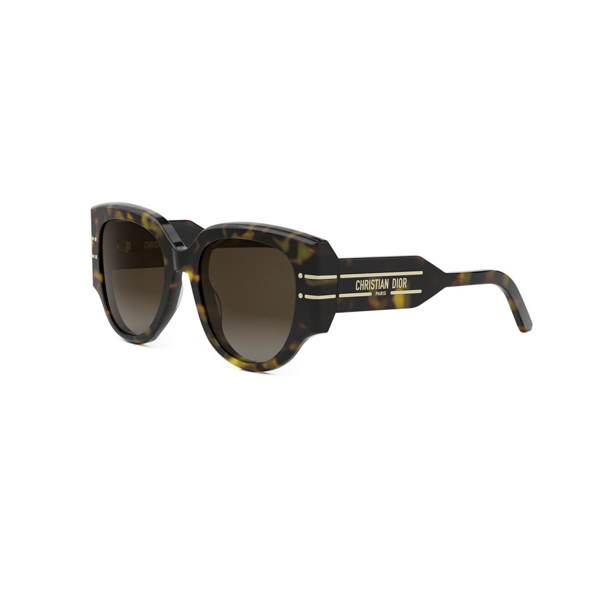 Sunglasses Dior DiorSignature R2I 20F1
