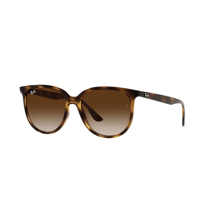 Ray Ban RB4378 | Havana Sunglasses