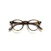 Miltzen Tortoise Optical
