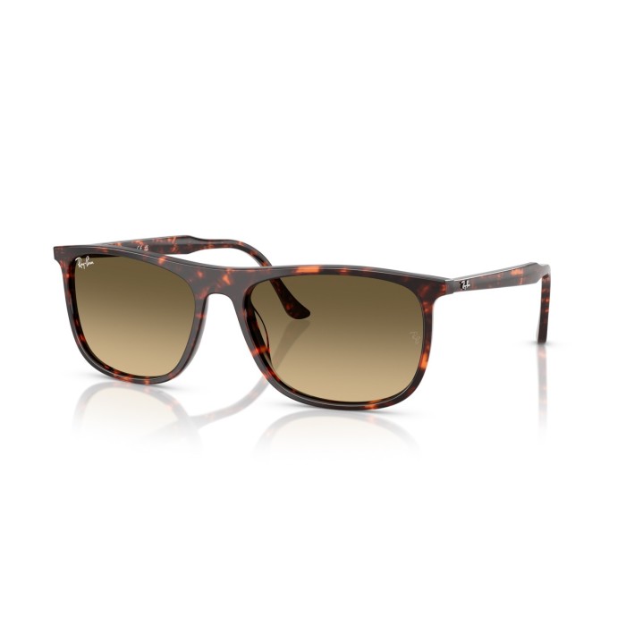Sunglasses Ray-Ban RB2216 14290A