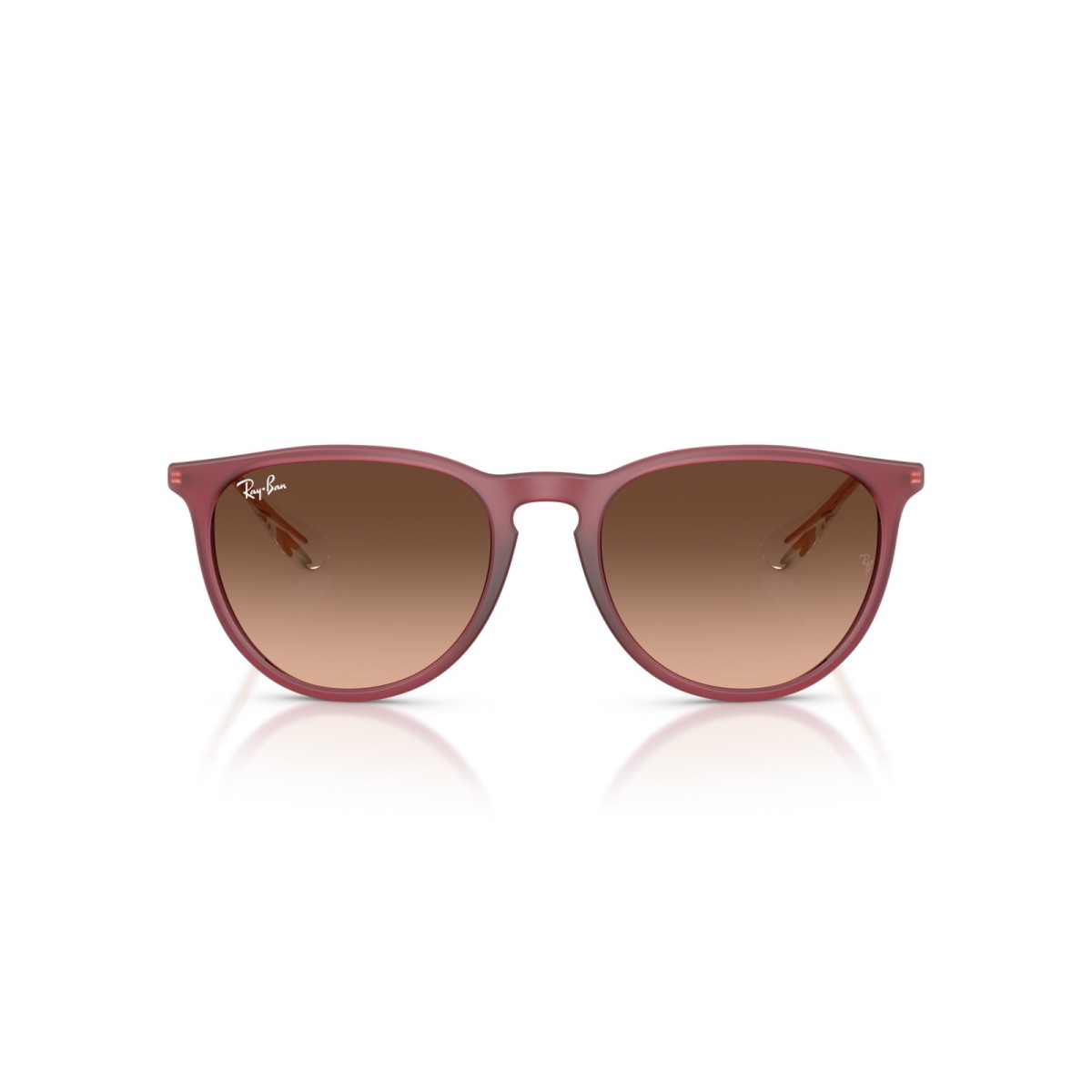 Ray-Ban Erika RB4171 6815A5 | Gafas de sol | Vytria Eyewear