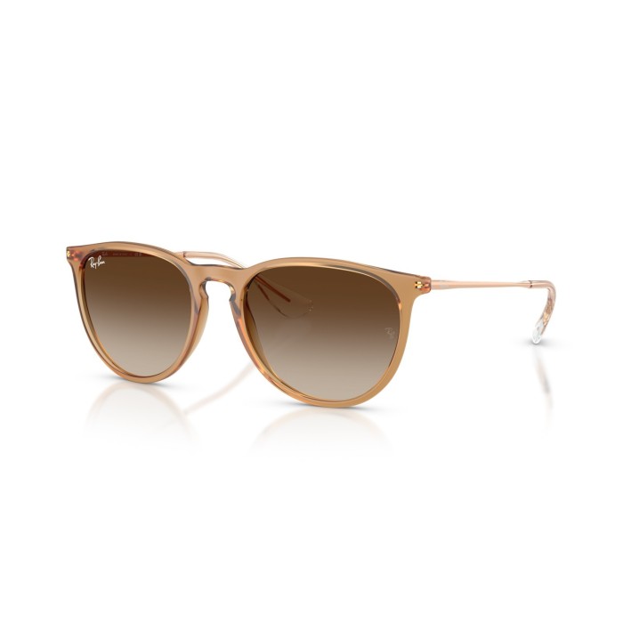 Gafas de sol Ray-Ban Erika RB4171 681413