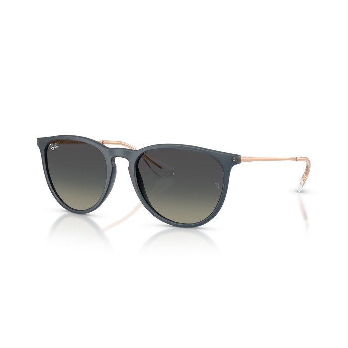 Sunglasses Ray-Ban Erika RB4171 681311
