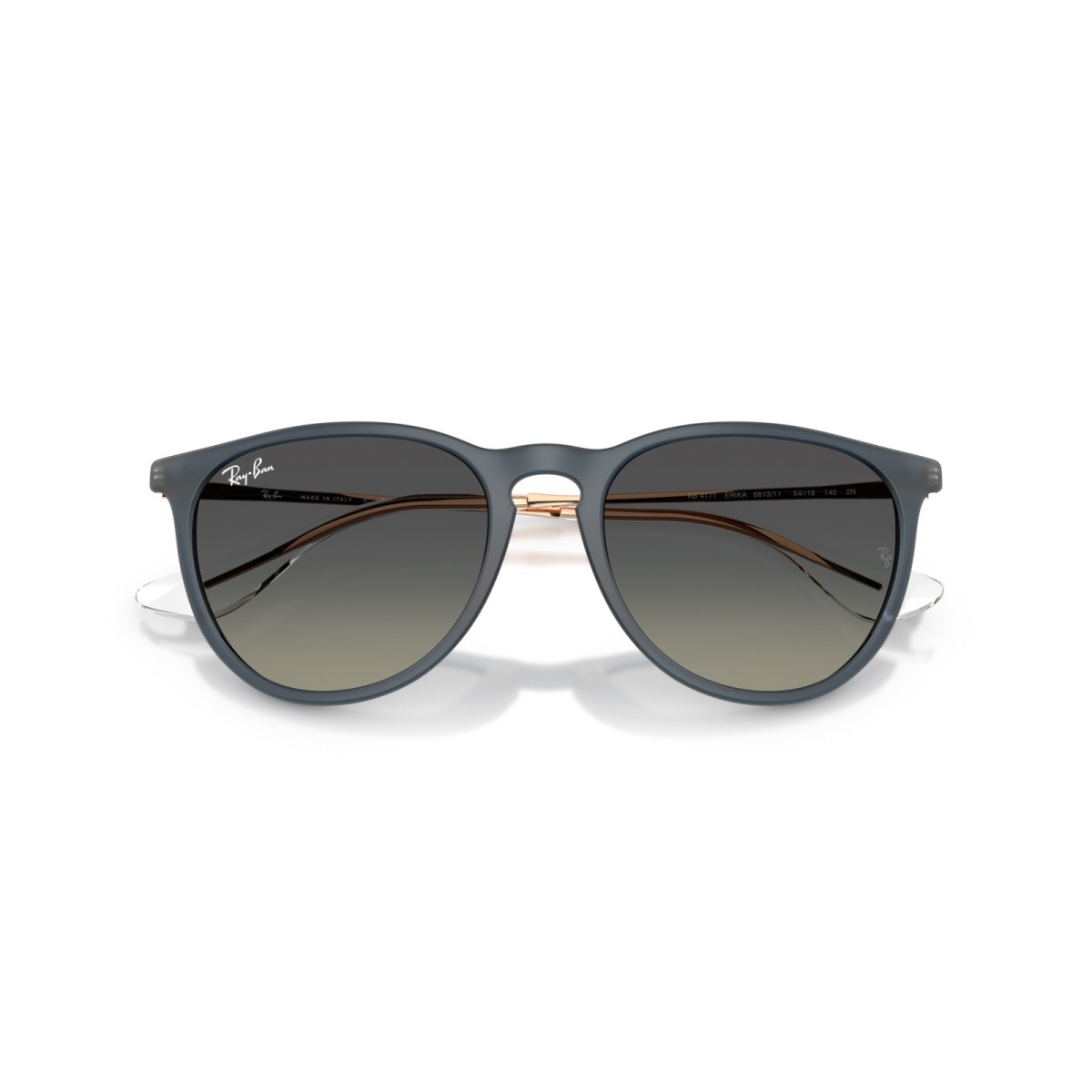 Ray-Ban Erika RB4171 681311 | Sunglasses | Vytria Eyewear