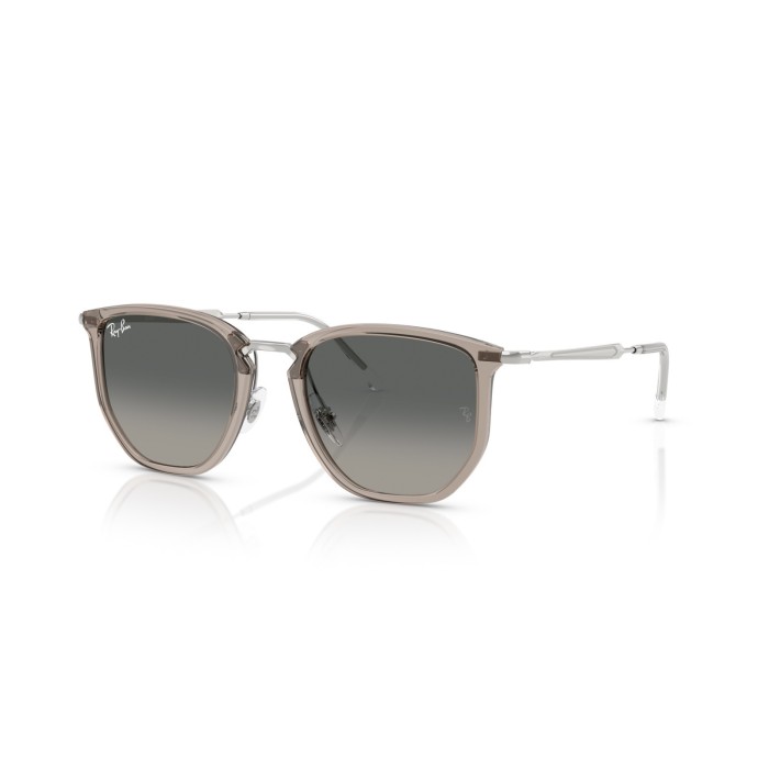 Sunglasses Ray-Ban RB4451 680271