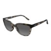 Honi Grey Tortoise Stripe GS758 11S