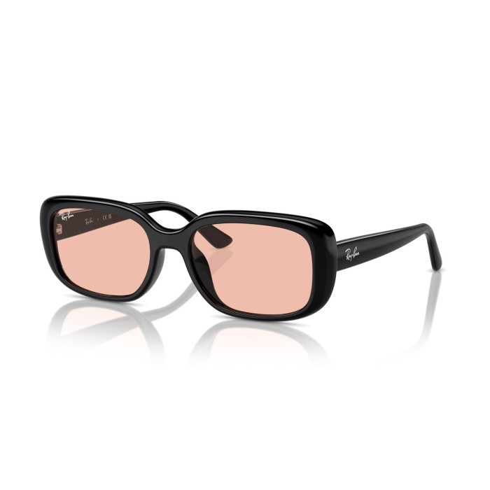 sunglasses RAY-BAN RB4421D 667784