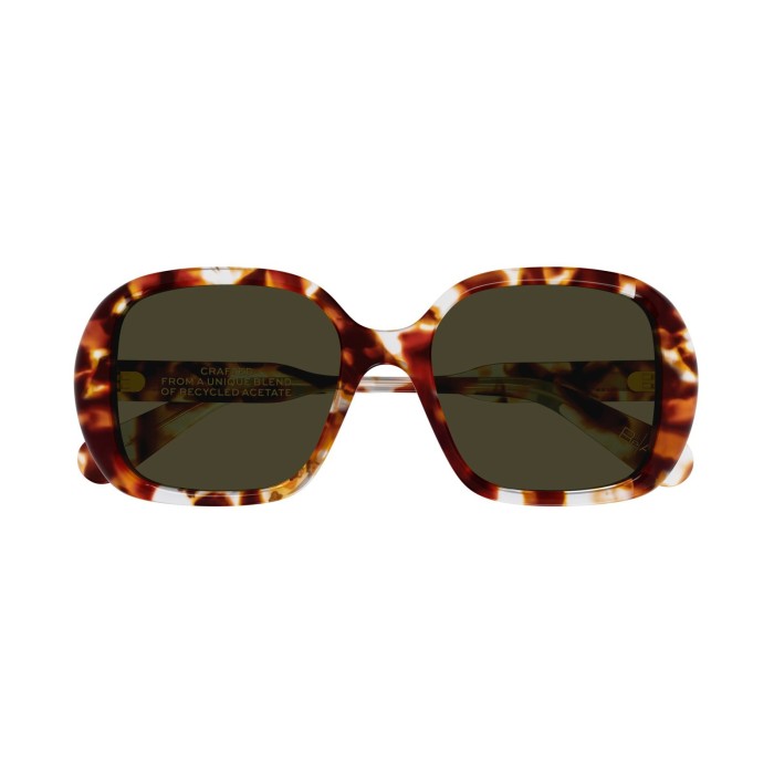 Gayia CH0222S 007