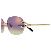 CARTIER CT0551S 006 | Sunglasses | Vytria Eyewear
