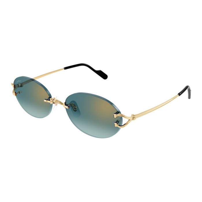 sunglasses CARTIER CT0551S 007