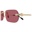 CARTIER CT0577S 004 | Sunglasses | Vytria Eyewear