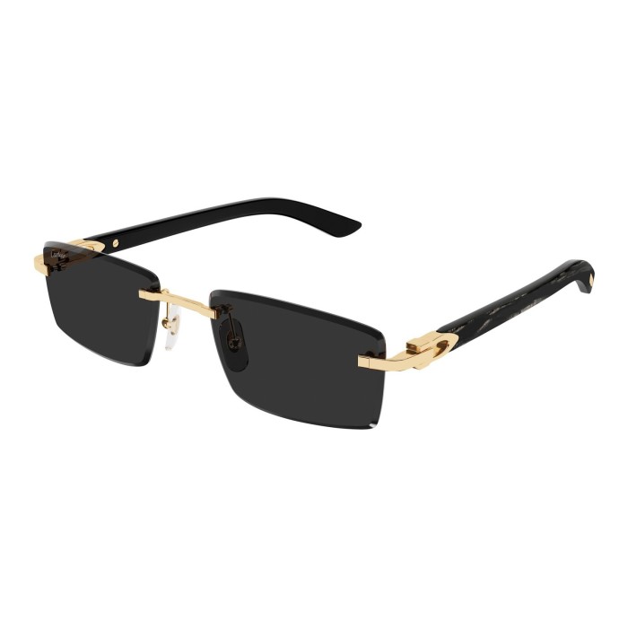 sunglasses CARTIER CT0582S 001