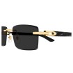 CARTIER CT0582S 001 | Sunglasses | Vytria Eyewear