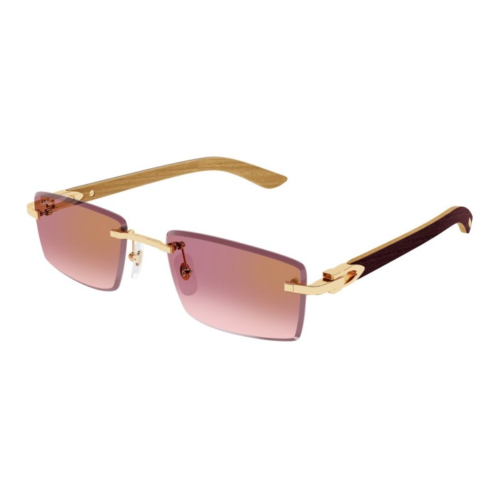 sunglasses CARTIER CT0582S 002