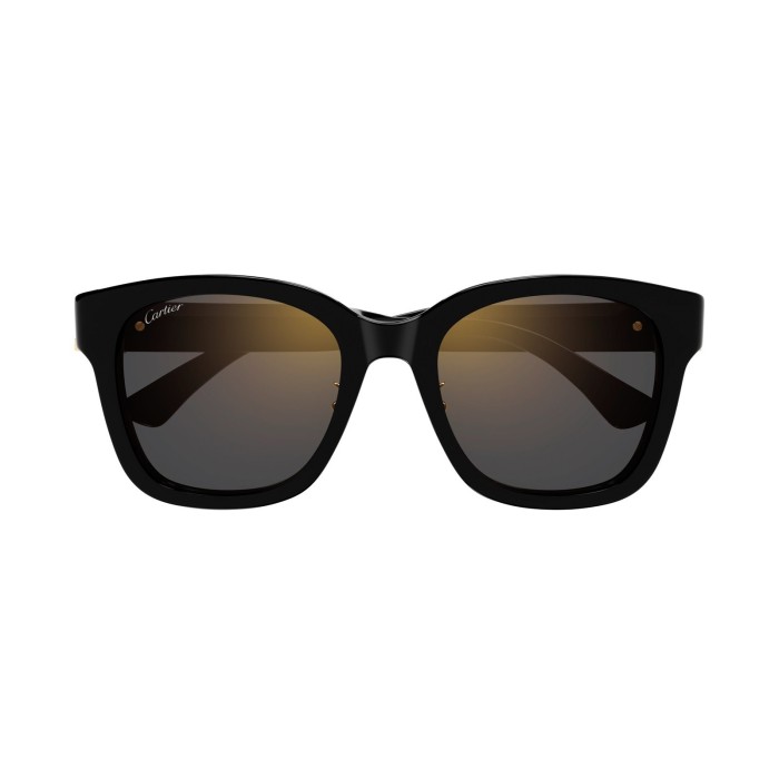 Cartier Double C CT0589SA 001