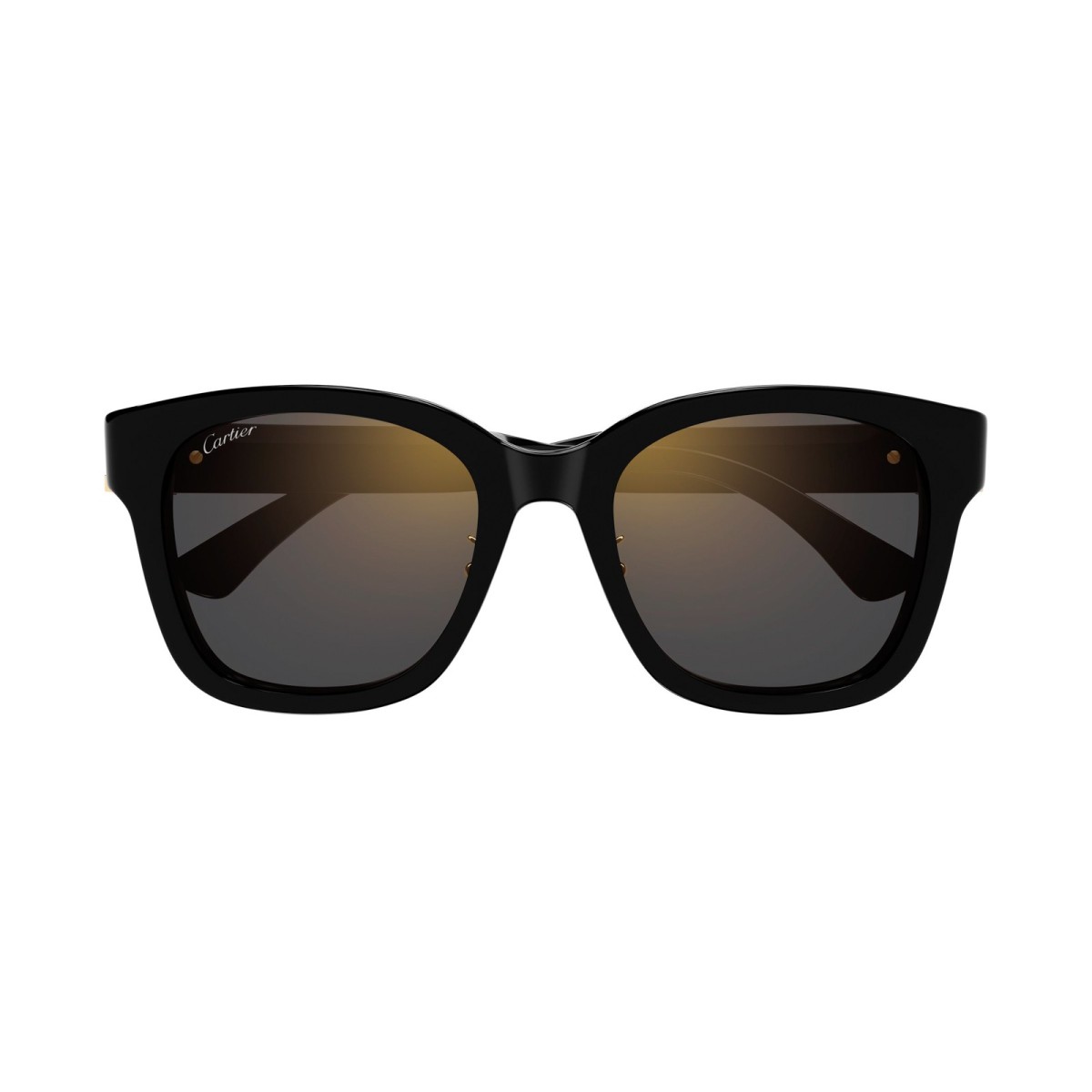 CARTIER CT0589SA 001 | Gafas de Sol | Vytria Eyewear