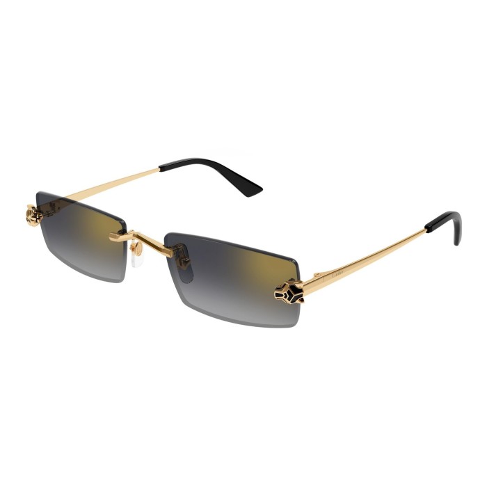 sunglasses CARTIER CT0598S 001