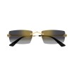 CARTIER CT0598S 001 | Gafas de Sol | Vytria Eyewear