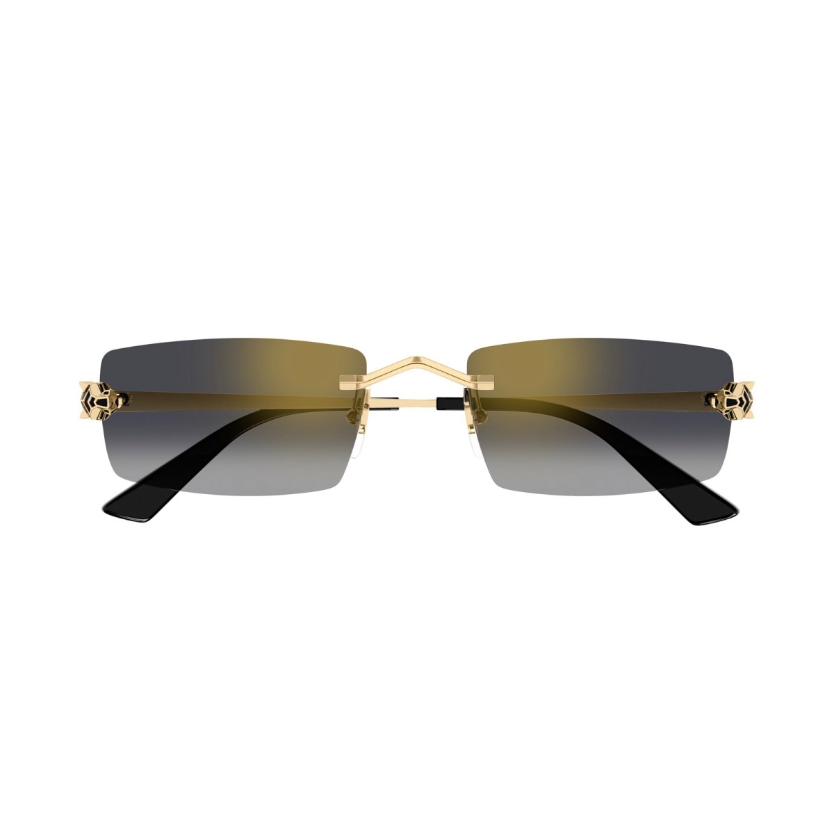 CARTIER CT0598S 001 | Gafas de Sol | Vytria Eyewear
