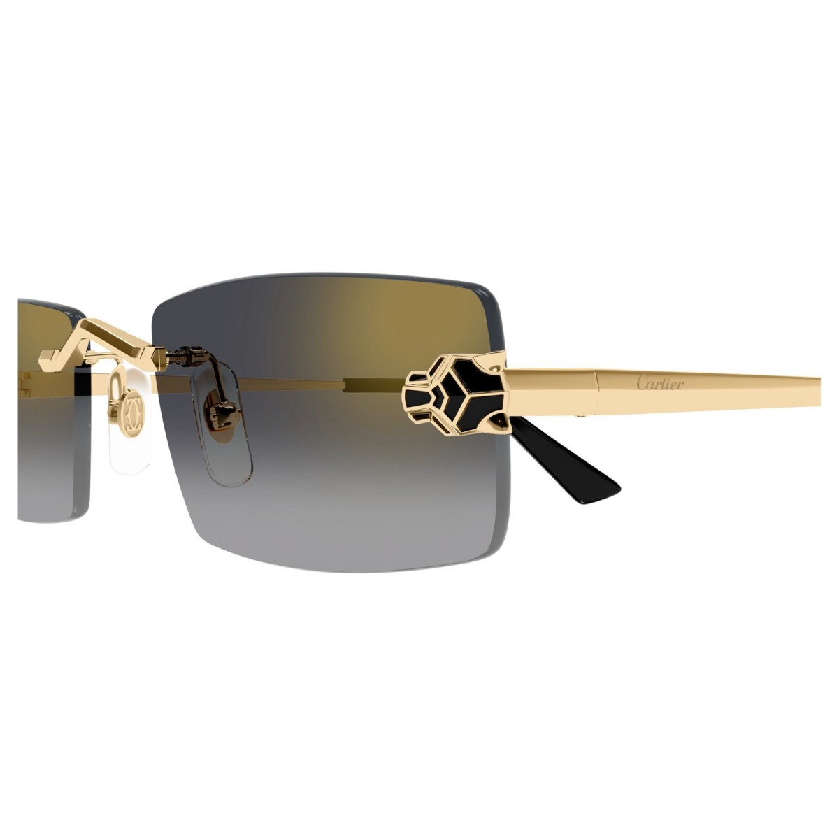 CARTIER CT0598S 001 | Sunglasses | Vytria Eyewear