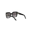 Dior CDIOR S5I 25D2 | Sunglasses | Vytria Eyewear