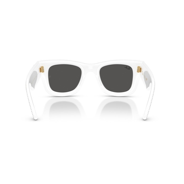 Wayfarer Puffer RB4940BP 686687