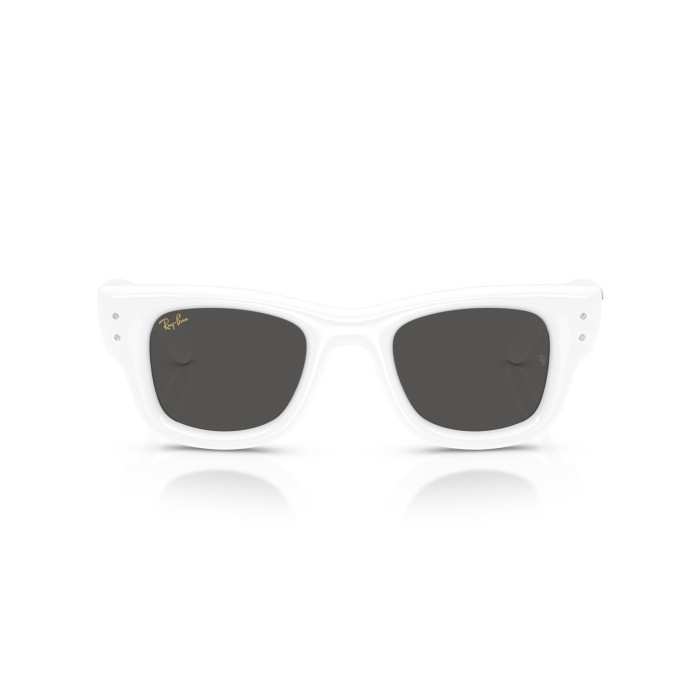 Wayfarer Puffer RB4940B 686387