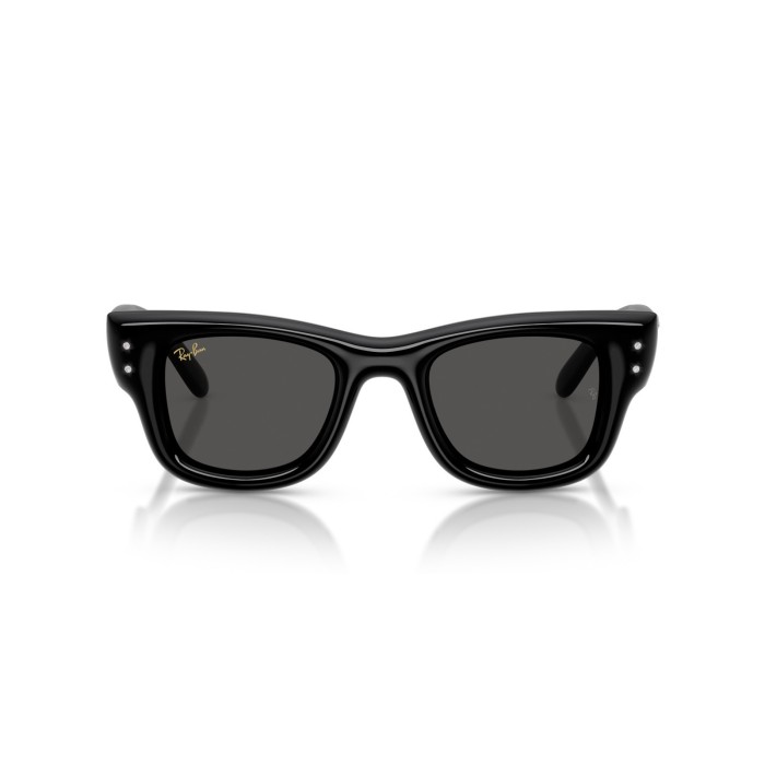 Wayfarer Puffer RB4940B 686487