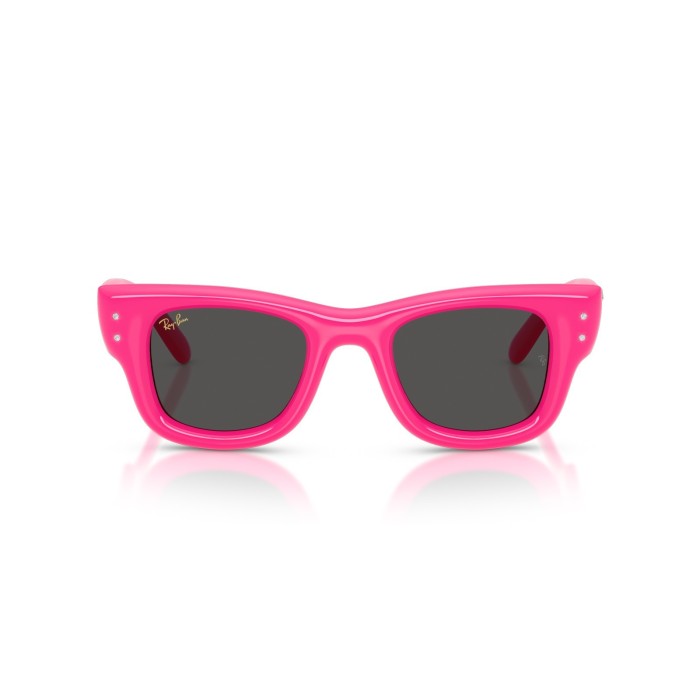 Wayfarer Puffer RB4940B 686287