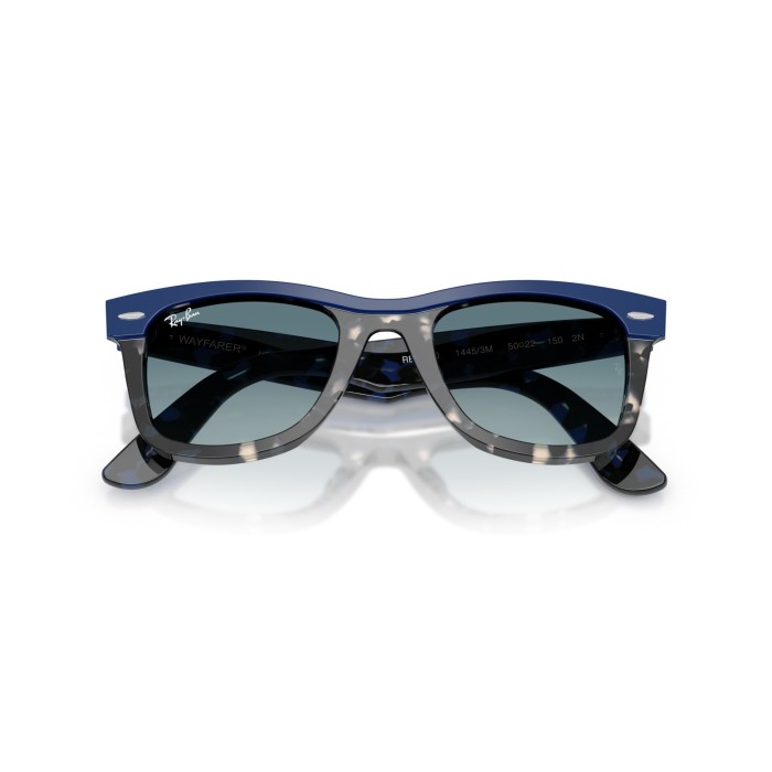 Wayfarer RB2240 14453M