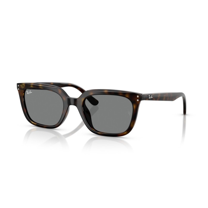 sunglasses RAY-BAN RB4439D 71087
