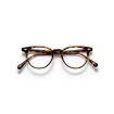 Fevel Tortoise Optical