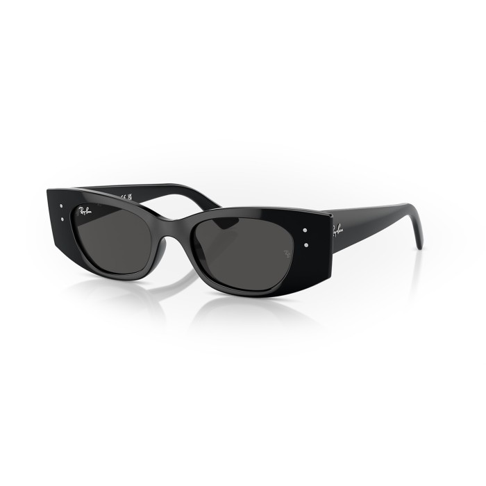 Square Sunglasses Ray-Ban RB4427 667787