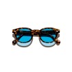 Lemtosh Tortoise Celebrity Blue
