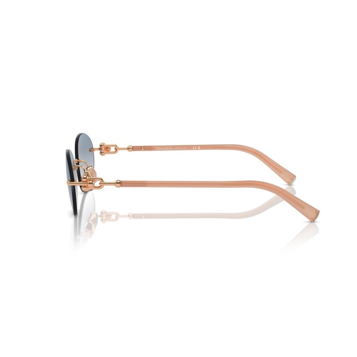 TIFFANY & CO. TF3104D 621716