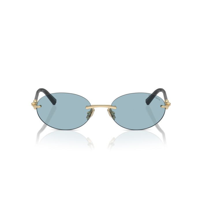 TIFFANY & CO. TF3104D 602180