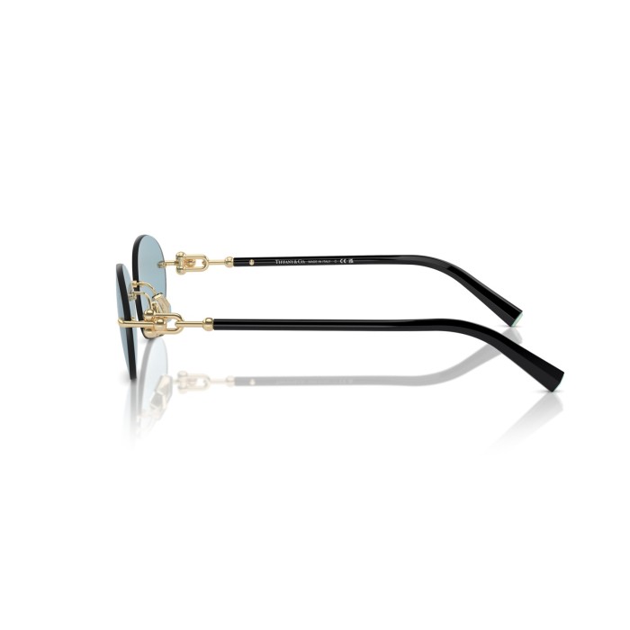 TIFFANY & CO. TF3104D 602180