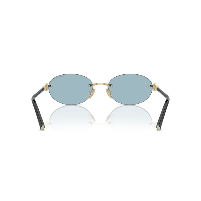 TIFFANY & CO. TF3104D 602180