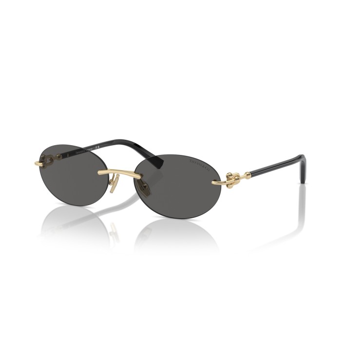 TIFFANY & CO. TF3104D 6216S4