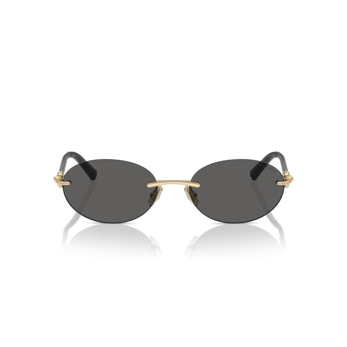 TIFFANY & CO. TF3104D 6216S4
