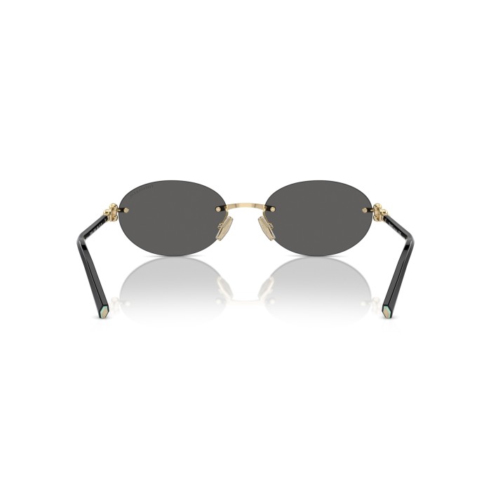 TIFFANY & CO. TF3104D 6216S4