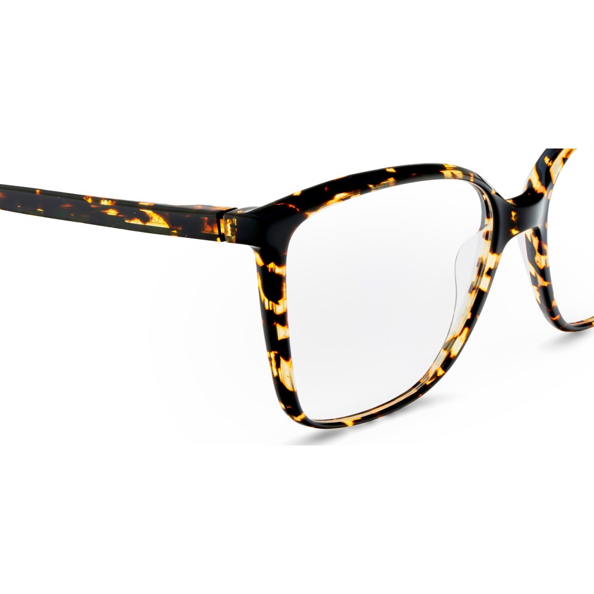 Etnia Barcelona Ancora HV| Monturas Cat-Eye | Vytria Eyewear