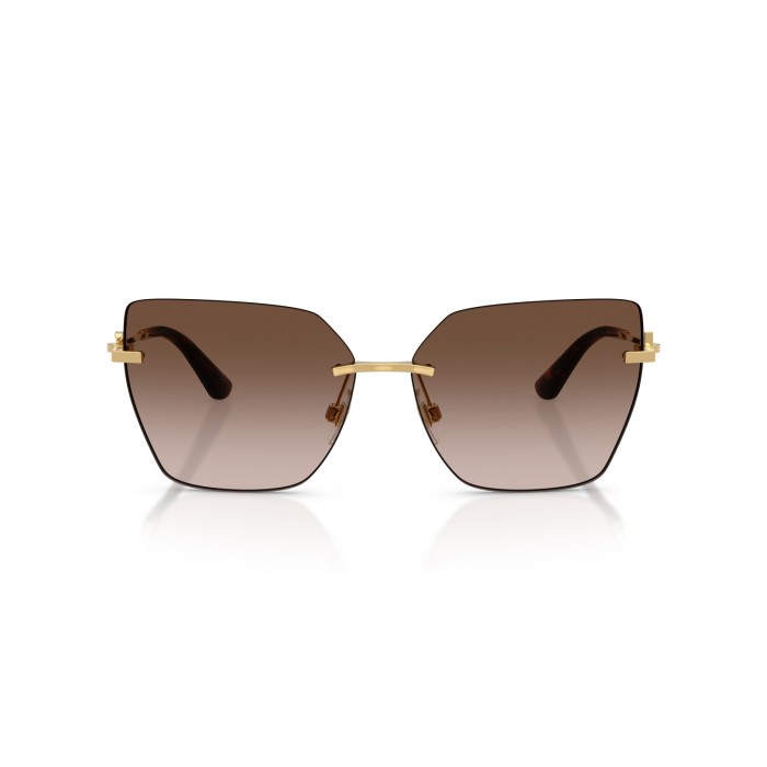 DOLCE GABBANA DG2321 0213
