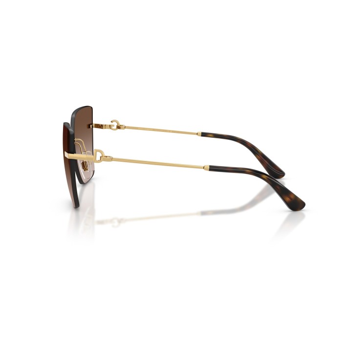 DOLCE GABBANA DG2321 0213