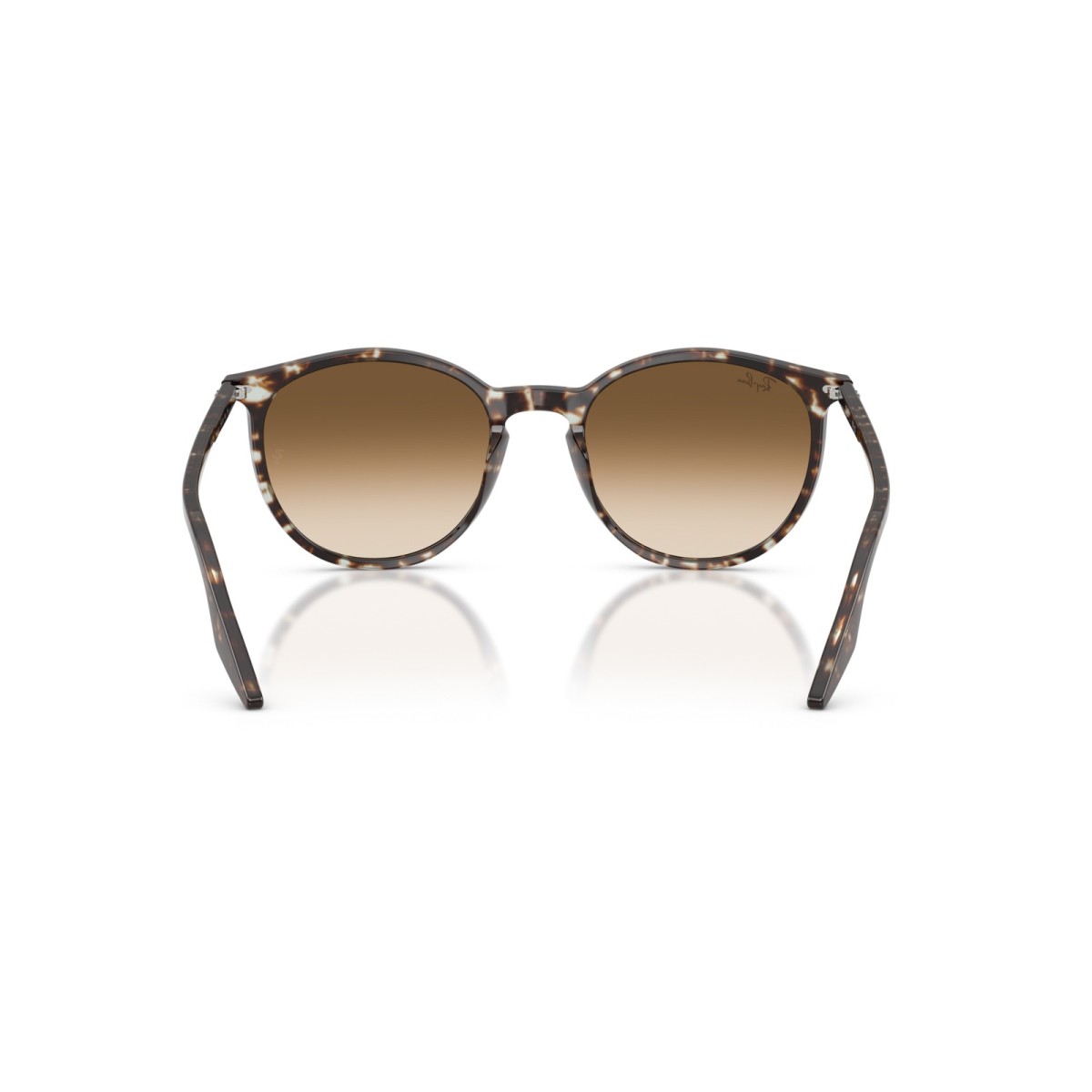 RAY BAN RB2204 143151 | Sunglasses | Vytria Eyewear