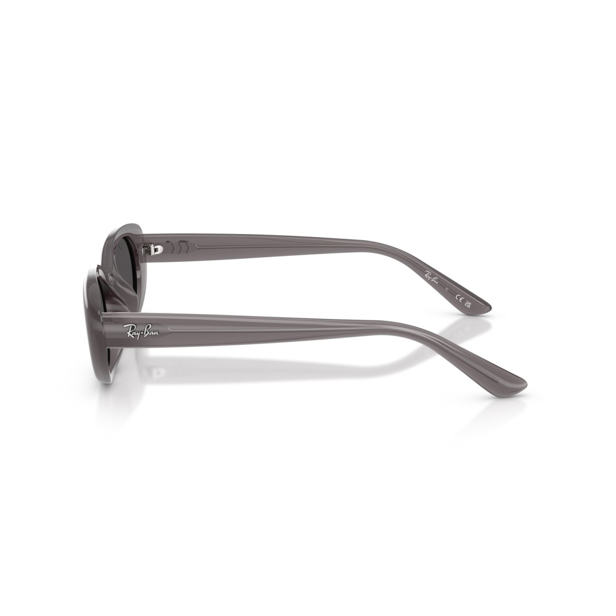 RAY BAN RB4441D 677787 | Sunglasses | Vytria Eyewear