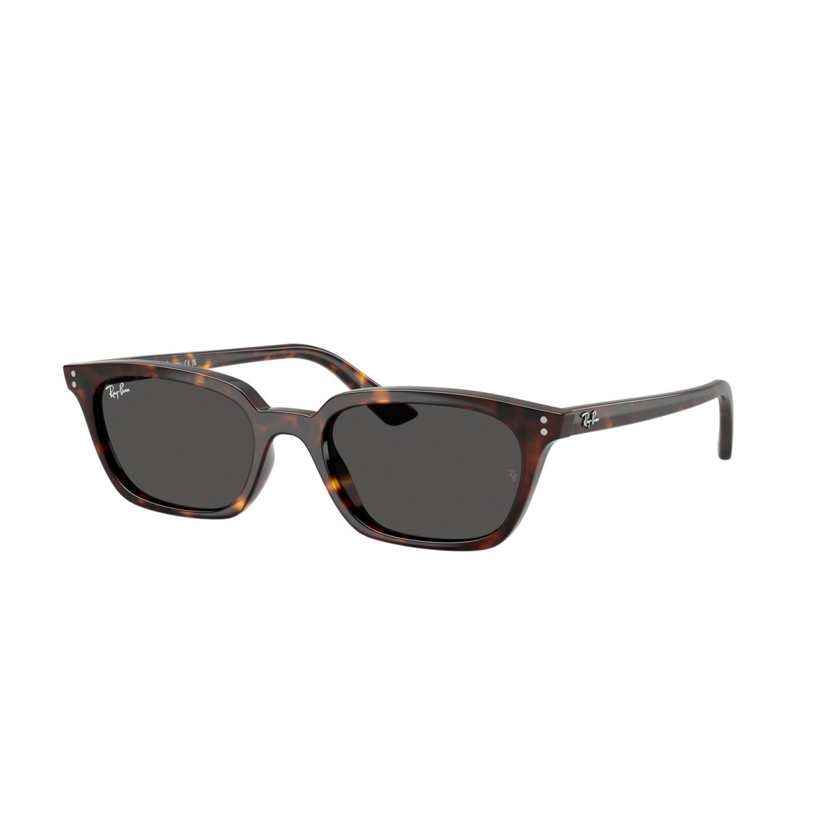 RAY BAN ZAYA RB4456 135987 | Gafas de sol | Vytria Eyewear