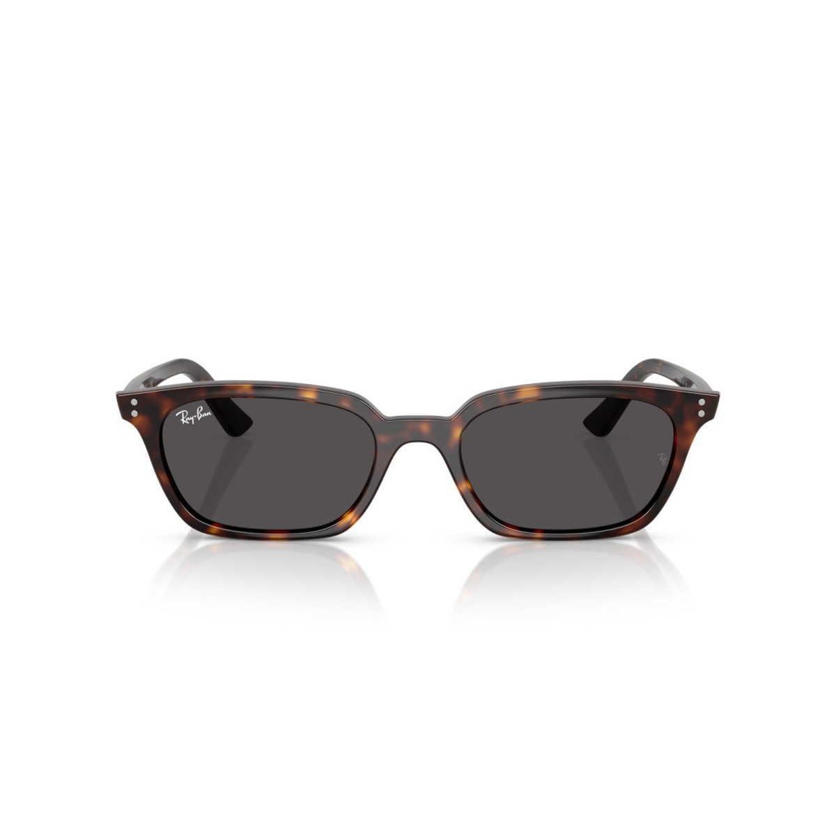 RAY BAN ZAYA RB4456 135987 | Gafas de sol | Vytria Eyewear