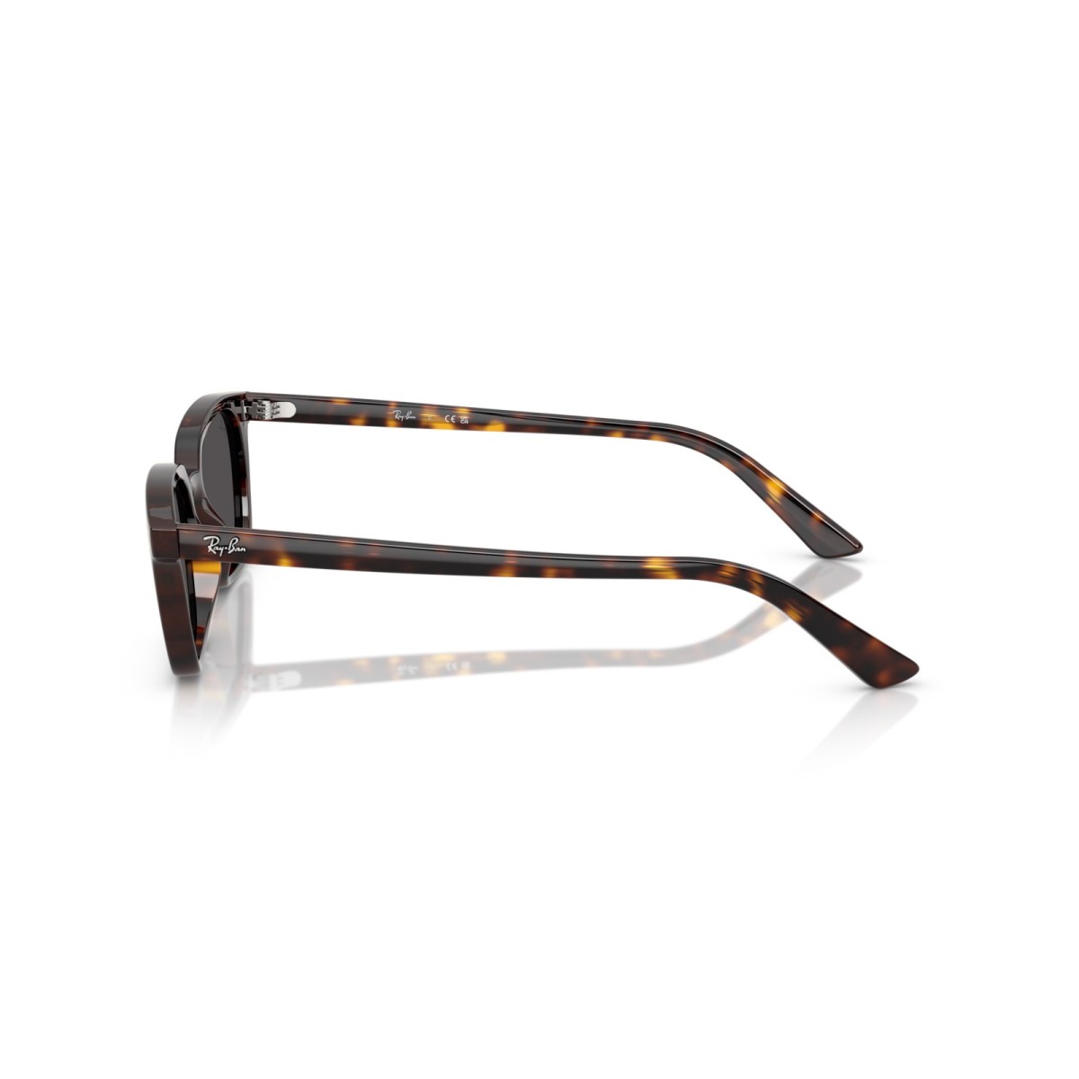 RAY BAN ZAYA RB4456 135987 | Gafas de sol | Vytria Eyewear